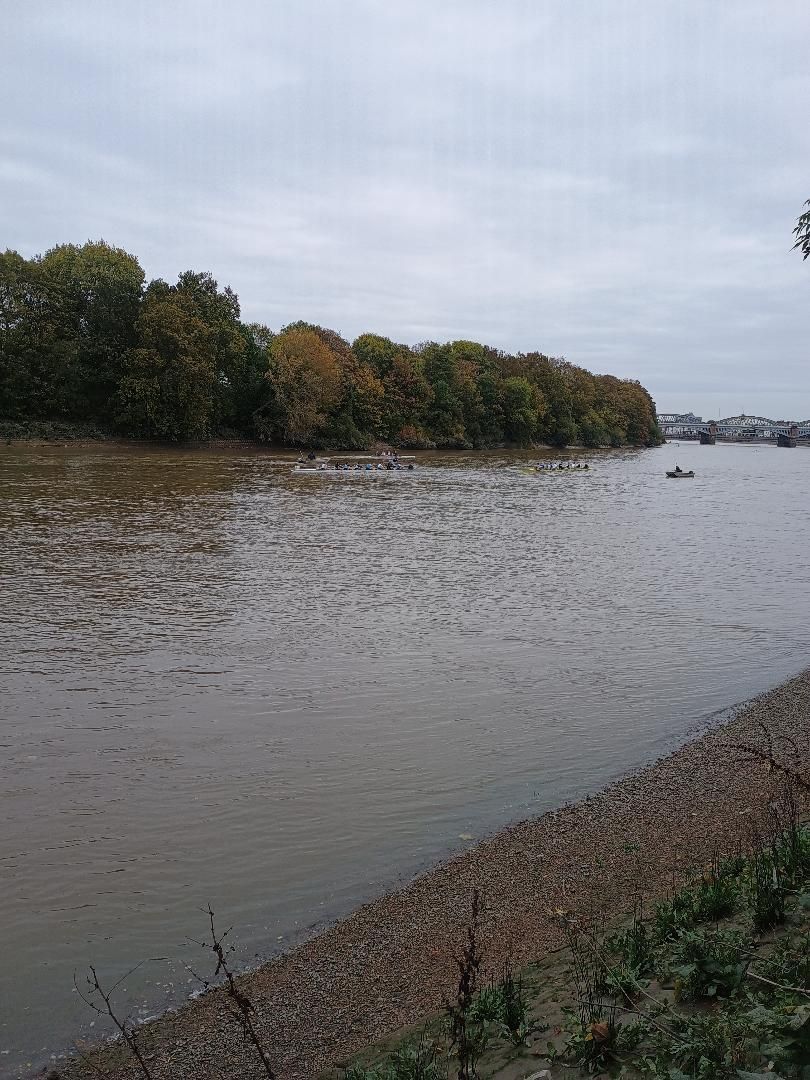Thames Chiswick